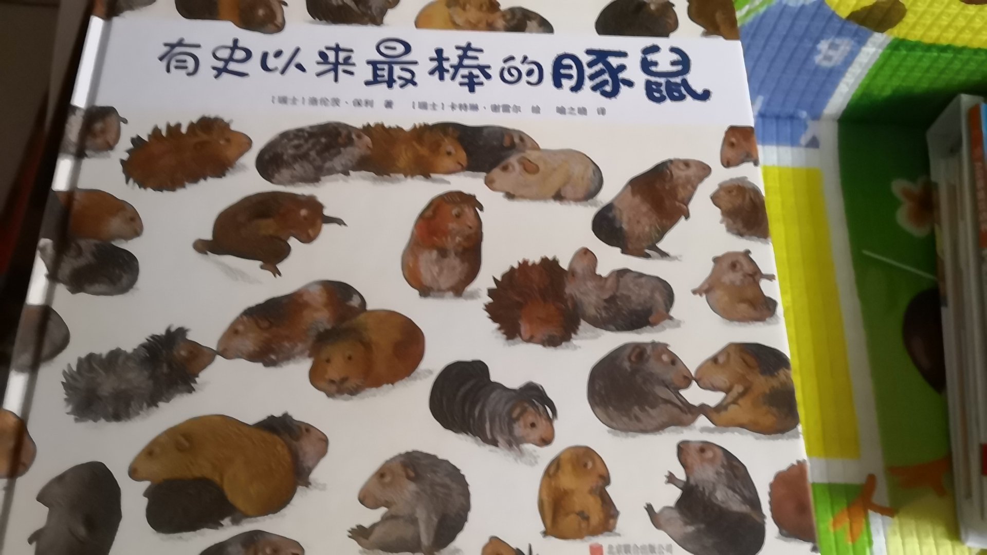 米洛一只豚鼠普通到你都认不出哪一只是他这样一直频繁的豚鼠居然被大伙评选为年度最棒，豚鼠他做了什么了不起的事呢，我们一起看一看吧