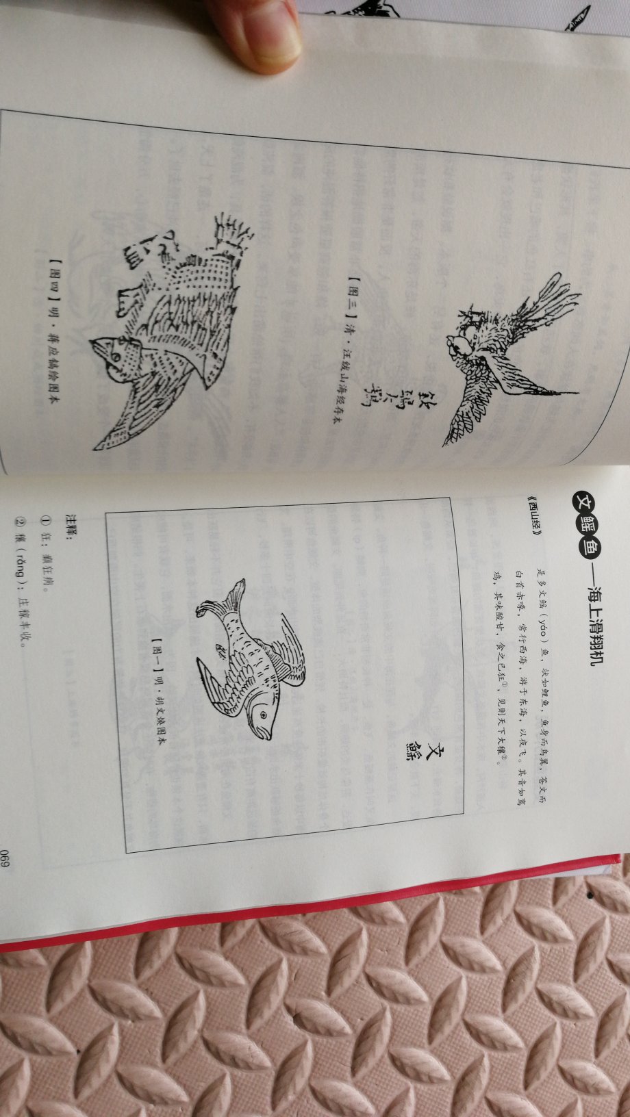 刚看到鱼鸟篇的封面孩子和我都笑了，他之前画过三个头的鸵鸟，然后看到这个，觉得特别好玩。