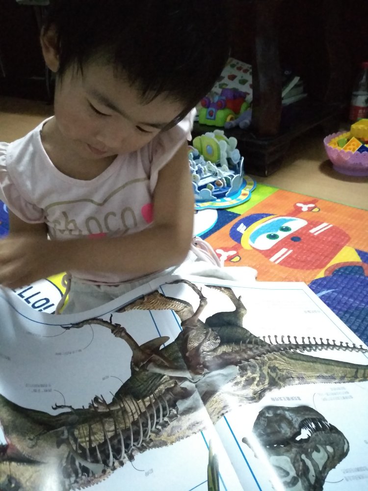 超级棒的一套书，开本大，图片也逼真，孩子特别爱看！都认识不少恐龙了！