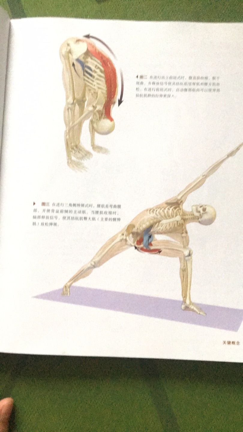 在网上看到别人发的关于肌肉怎么用力的图片，觉得很受用，就从网上搜到了这套书，里面讲的很详细，有肌肉用力的方向，还有骨骼的图解，主要是流瑜伽的站姿解析和开胯莲花座以及前弯体式