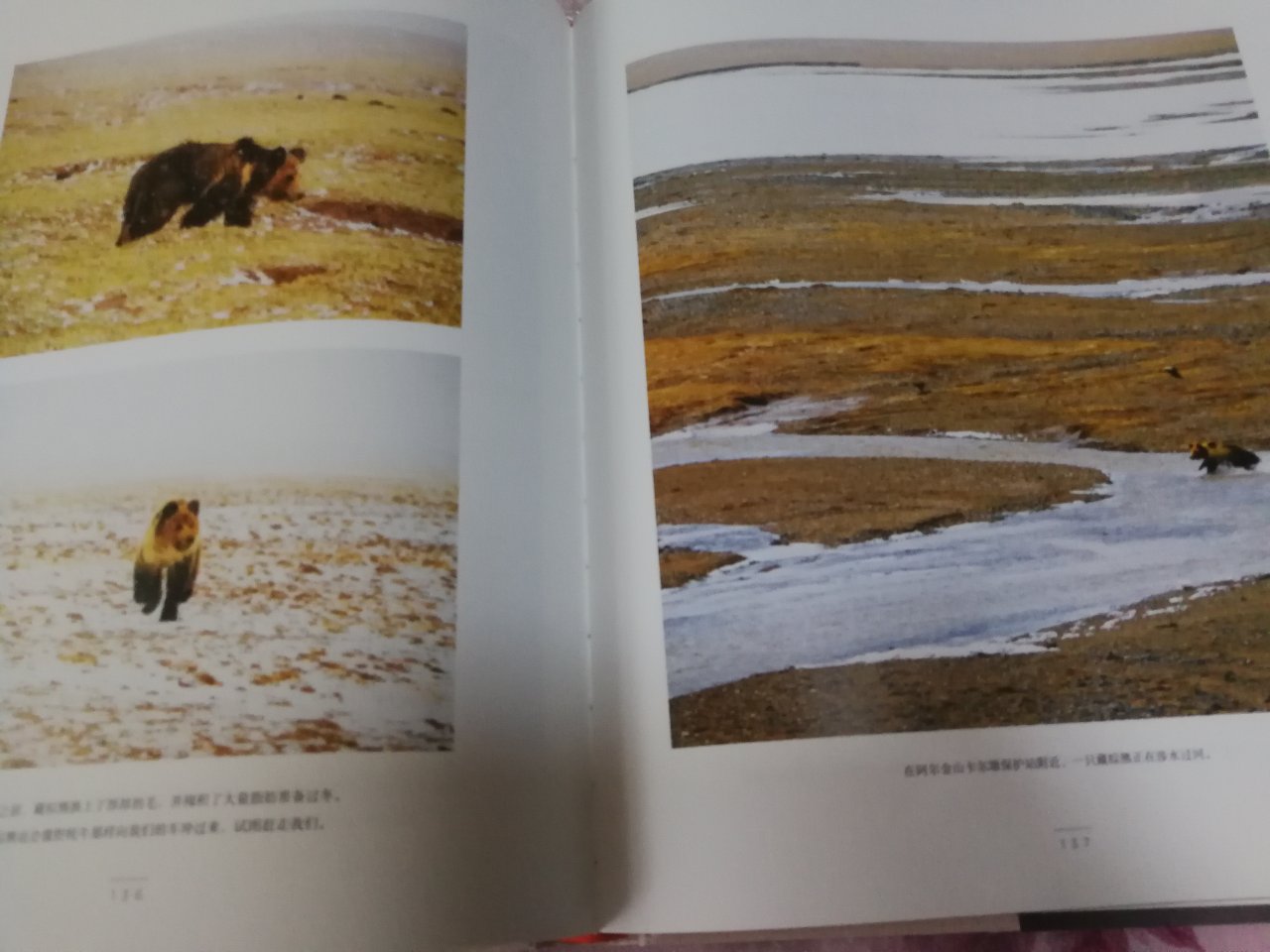 中国国家地理摄影系列图书，图片震撼，印制精美，满150一50，叠加200一80券入手，超级优惠。