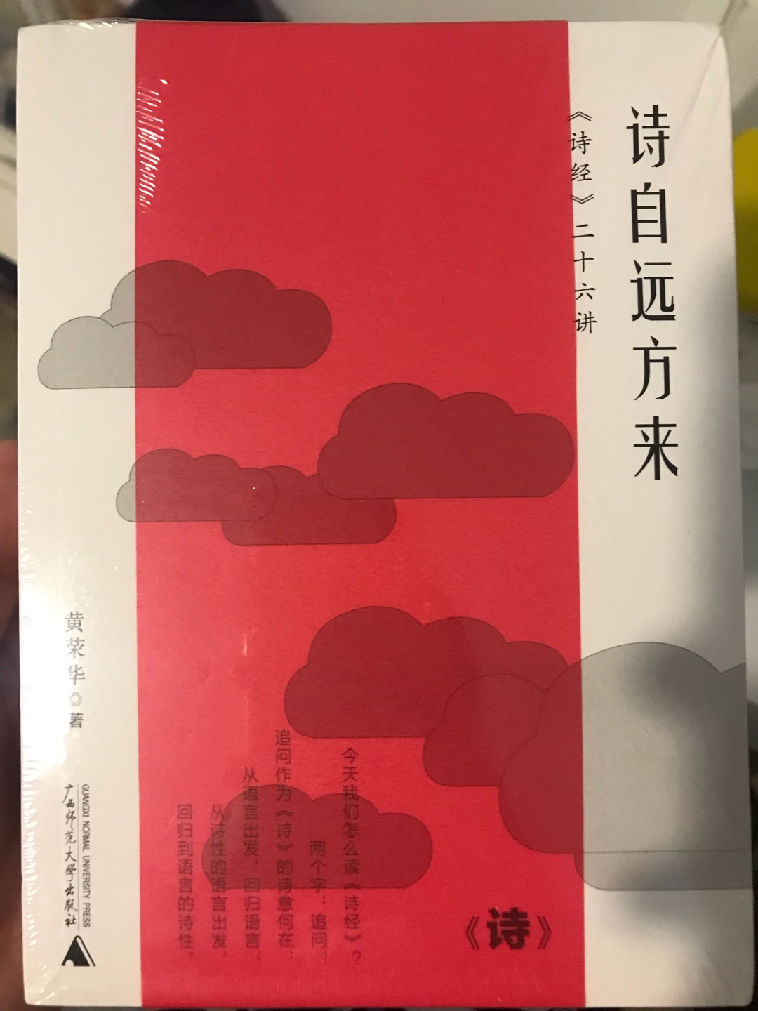 《诗经》虽古奥，但总有学者把它解读得生动有趣味～这本书适合中学生，大学生，亦适合诗歌爱好者品读，语言通俗而不失哲理，讲解独辟蹊径不入俗套，寻觅良久，终于遇到了一本适合自己的诗歌读物了～封面设计，内容排版也很喜欢，又可以愉快读诗啦！