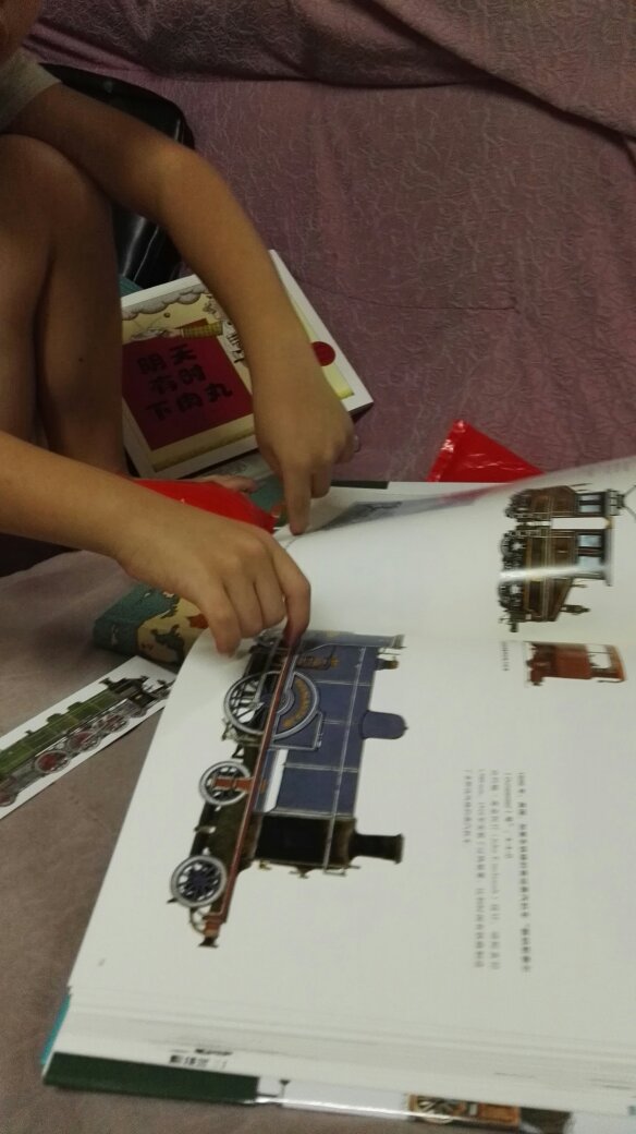 孩子是火车迷，家里各种火车的书，最近看上这本火车的历史，虽然价格不菲，但书的质量好，图片清晰，内容丰富。其他几本也很不错