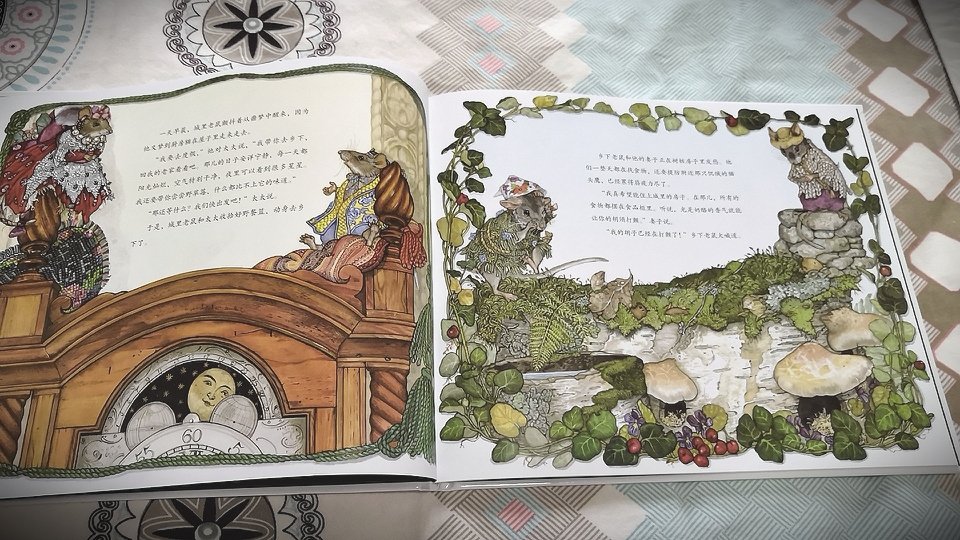 一套五本，绘画风格有别于日本绘本的，很像我小时候看过的童话故事书，铜版纸略沉一些，印刷质量很好