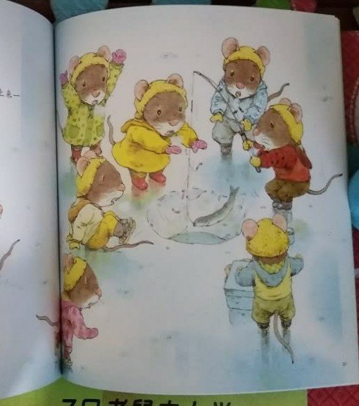侄子四岁了，是时候读一些有情节的绘本了，七只老鼠系列很经典，很喜欢