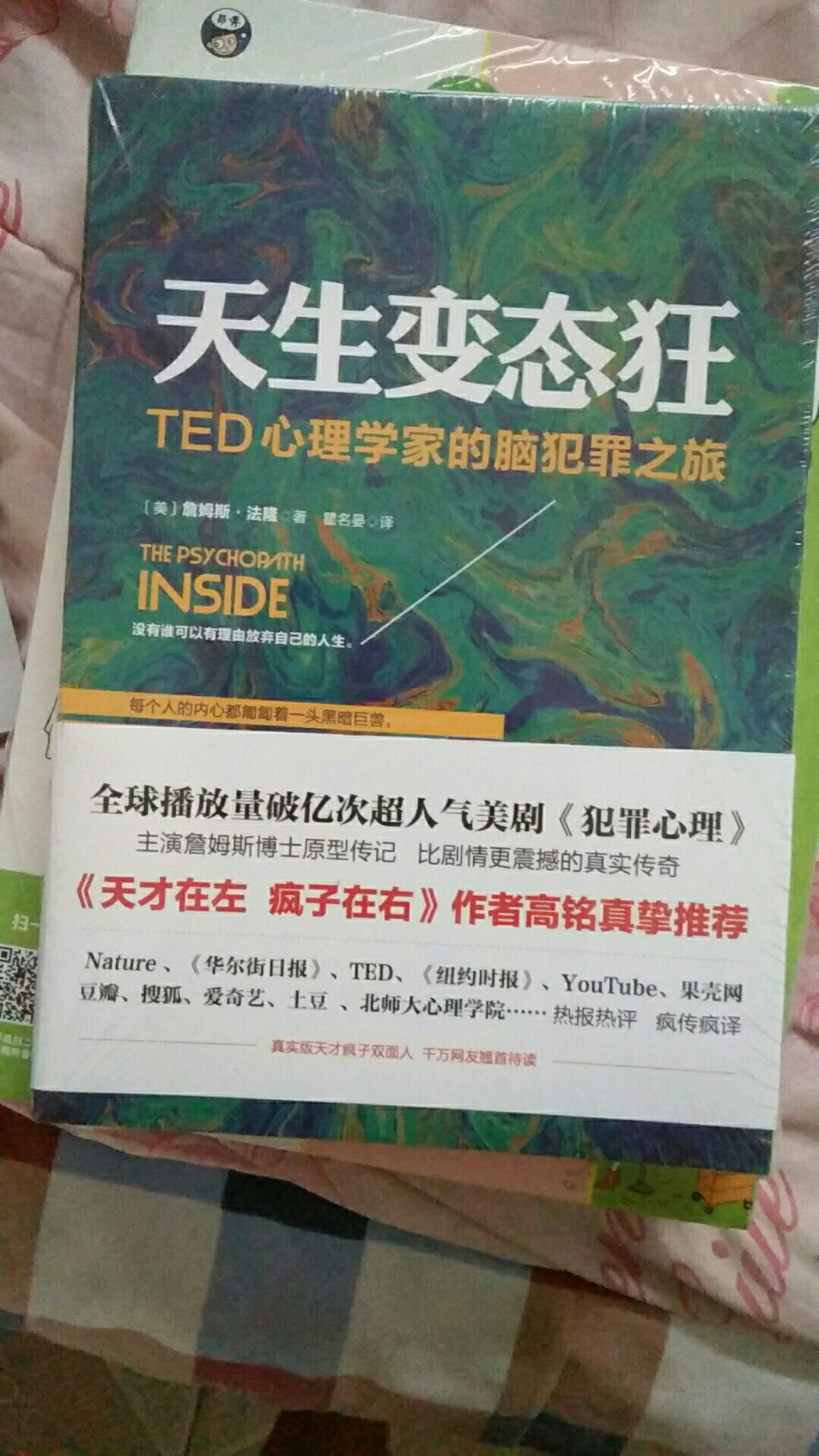 看了天才在左疯子在右作者推荐买的。