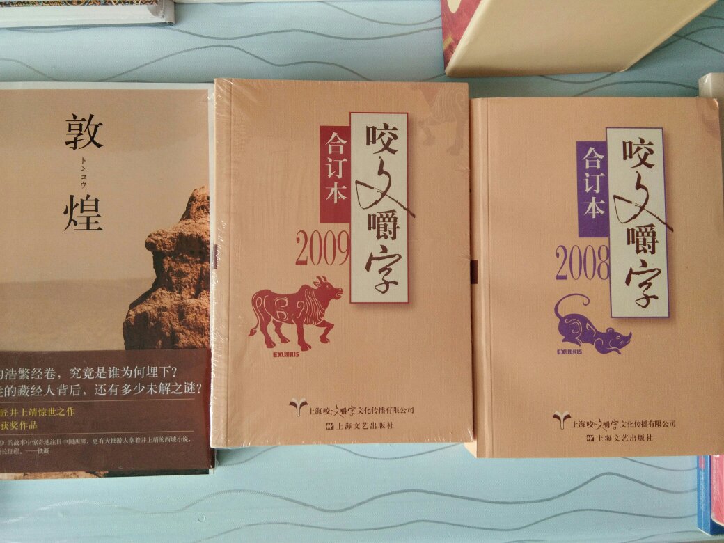 创刊发行于1995年1月，发行者为上海文化出版社，今为32开，约50页的文艺月刊，主要内容则为纠正媒体艺人、名家作品的错别字。因内容颇具特色，《咬文嚼字》已成为中国境内汉语文化品质“捍卫者”角色，并共发起了多次“社会查找错字活动”，并造成一定影响。