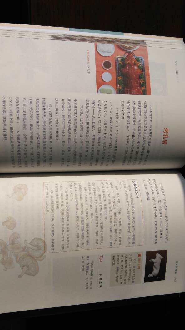 《口福》讲述的是今生必食的100道中国菜，有菜肴起源、关键技术环节和厨师体会，很好。