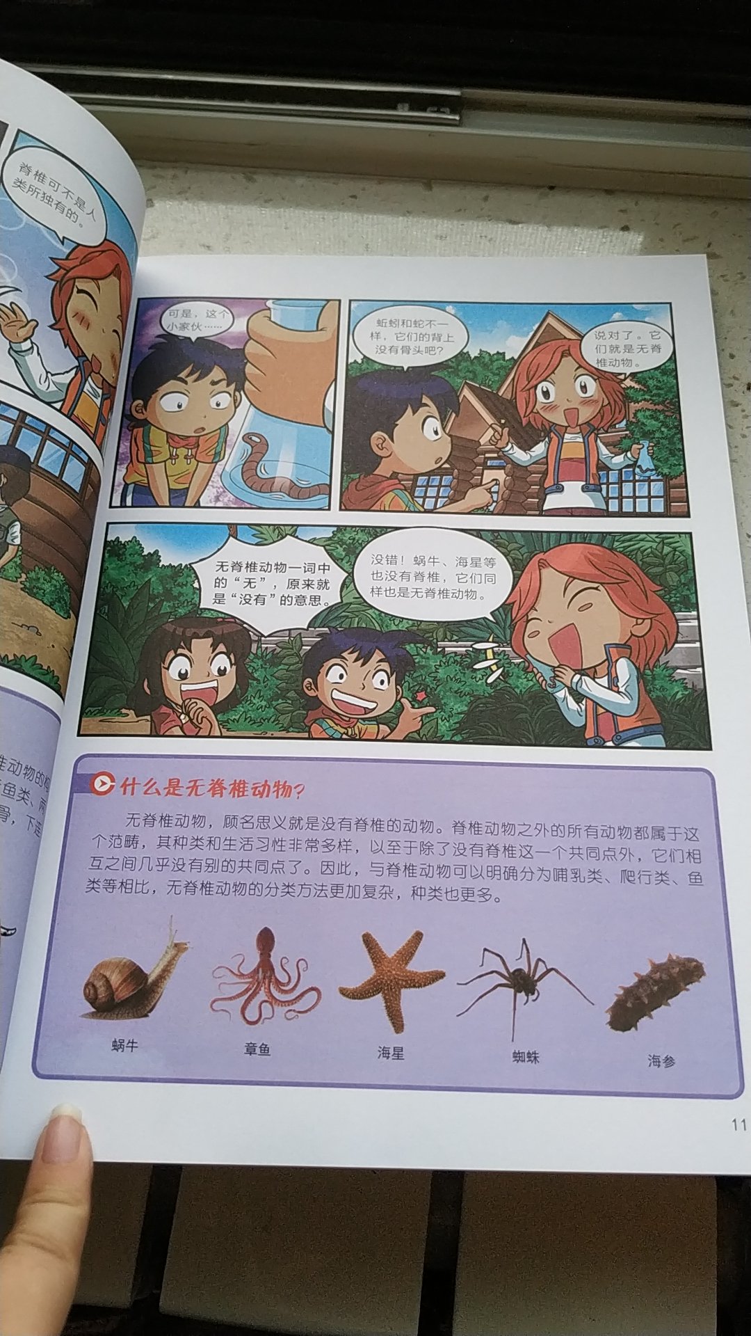 以漫画的形式讲，孩子更容易接受和理解，挺不错的，希望可以把这套书收集全。