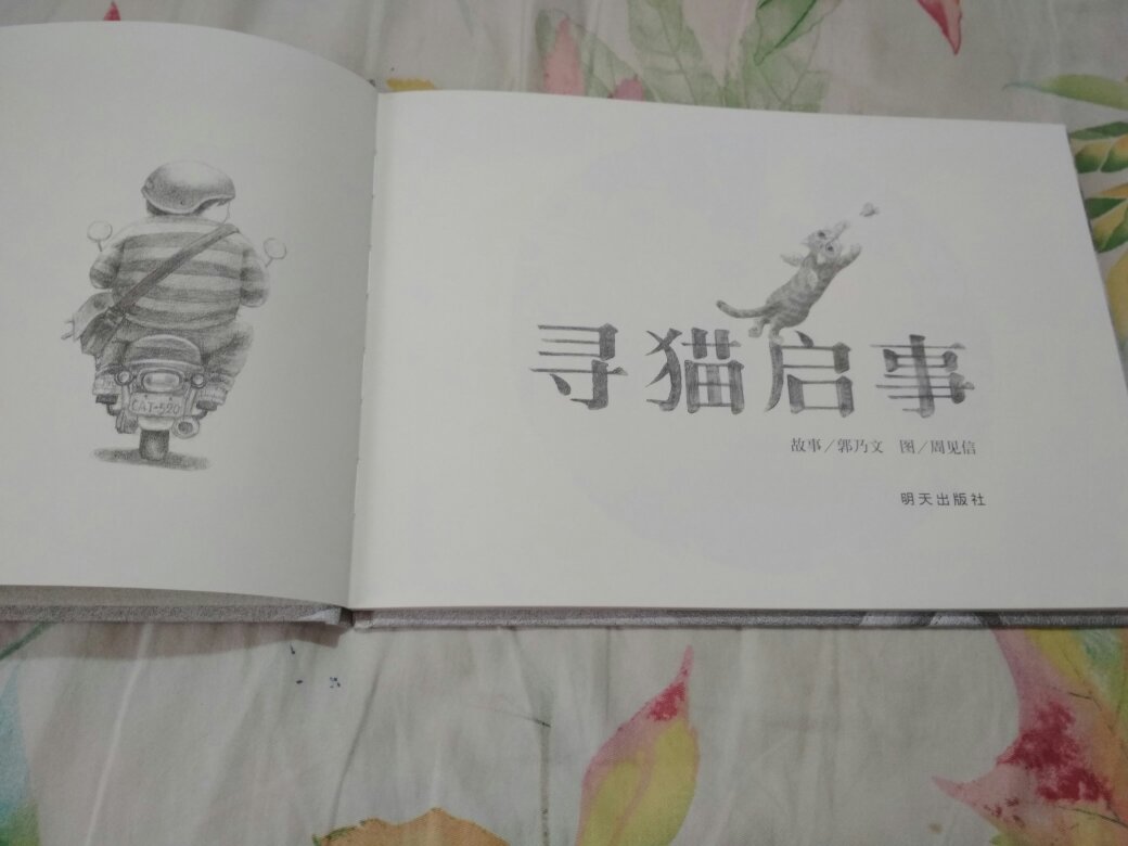无字书！信谊图画书奖得奖作品！中国原创图画书中的优秀作品！本书适合4岁以上的孩子！