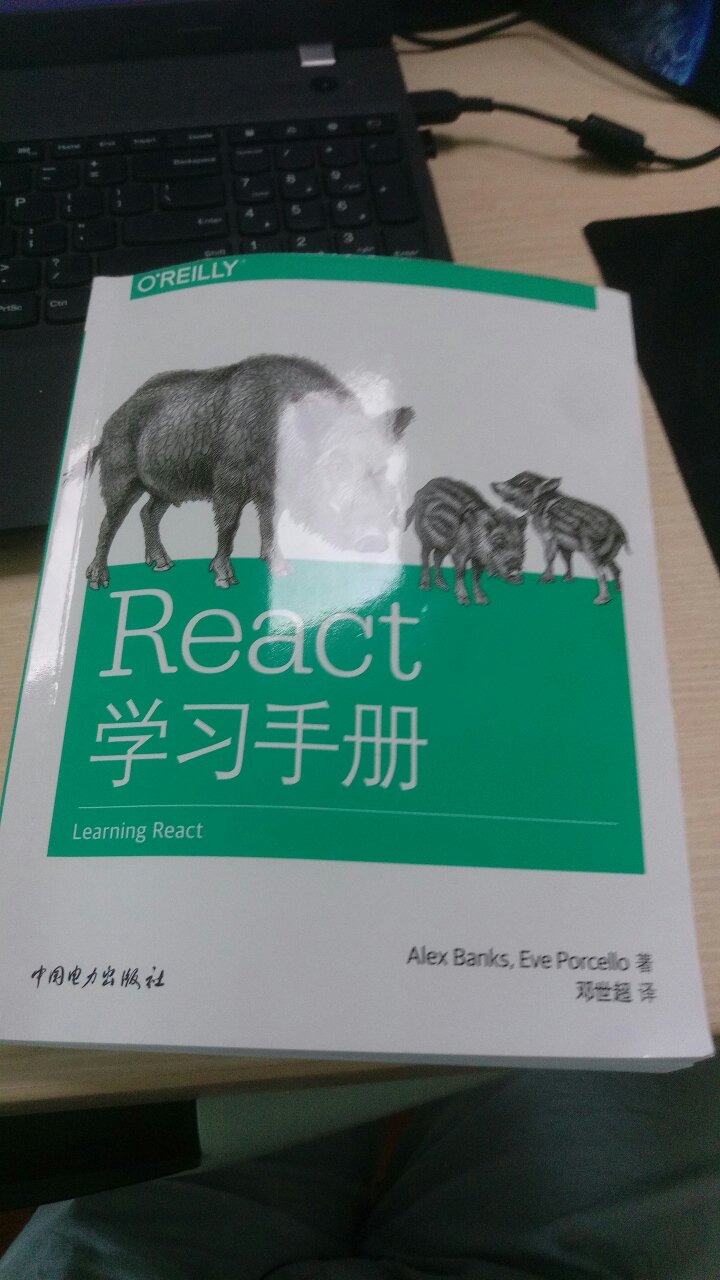 很好的一本react入门书籍，不得不说，老外写的书思路非常清晰。react遵循了函数式编程范式，这本书从函数式开始，先了解函数式编程对理解react有很大的帮助，函数式也是react轻巧、优雅之处。未深入了解react时，我一度觉得react的jsx很丑，没有angular的模板来的舒服，但如果将jsx当做js来看就不一样了，通过map将数据加工成ui，蛮有意思的。这本书值得一看。