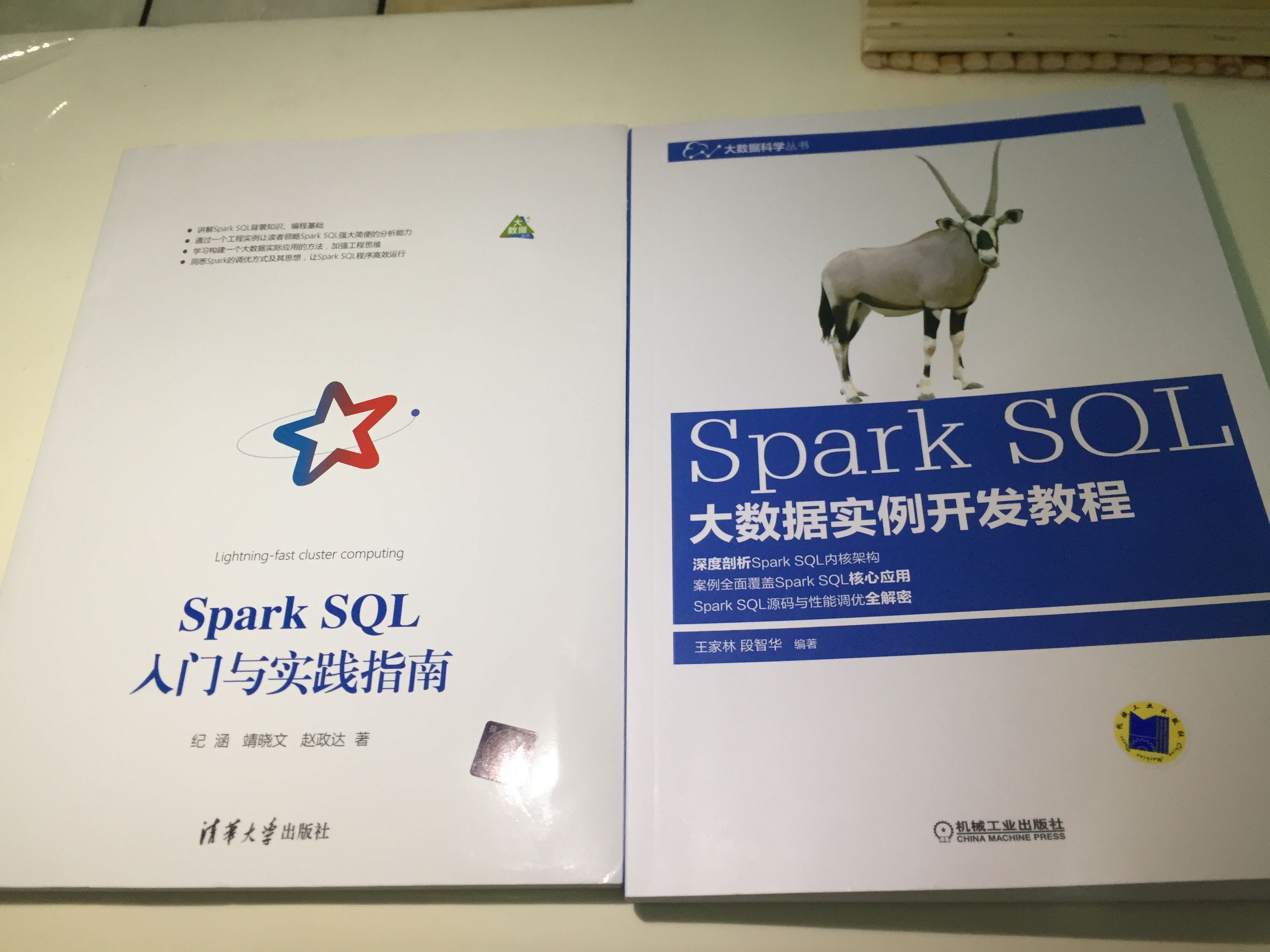 买了两本，都认真研读过，本着客观公正的角度评价，《Spark SQL 大数据实例开发教程》知识点真的太老了，现在Spark 都快2.6了，这本书的知识点才是1.6的，而且那个电商的工程实例也太不走心了吧？直接从网上扒的吧。然而 这本《Spark SQL入门与实践指南》知识点是2.0的，工程实例很丰富，可以直接应用到我们现在做的智能医疗的工程中，感觉很靠谱，很贴心，在一个这本书的章节安排感觉很合理，步步为营，浅显易懂，最给人惊喜的是，这本书不但基础篇十分详实、全面，实践篇代码可以直接用，而且调优篇写的超完美，读了之后感觉瞬间 项目效率提高一大截、而且耗存根据 它的调优七式 真的去除了些不规范的代码导致的内存、计算的额外消耗