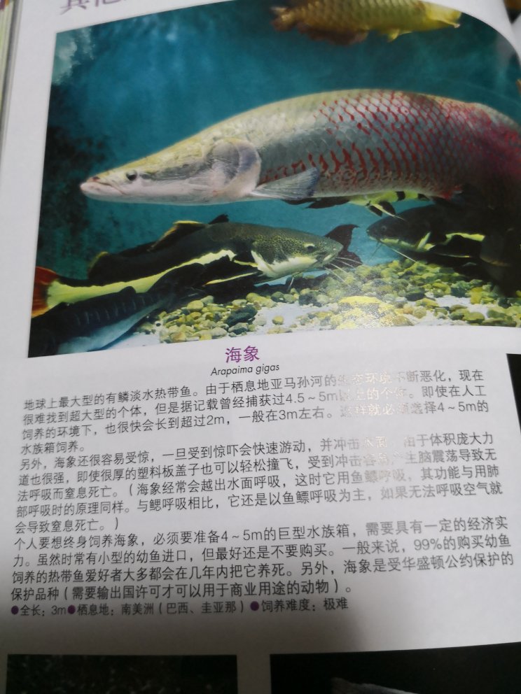 还行，一直想找这之类的书，可惜找不到，这个能将就用，对于排班和彩色图片来讲确实不错。但是对于内容来说更详细的介绍就没有了，只是看图识别名字。针对养鱼的有点帮助，毕竟作者就是养鱼的。