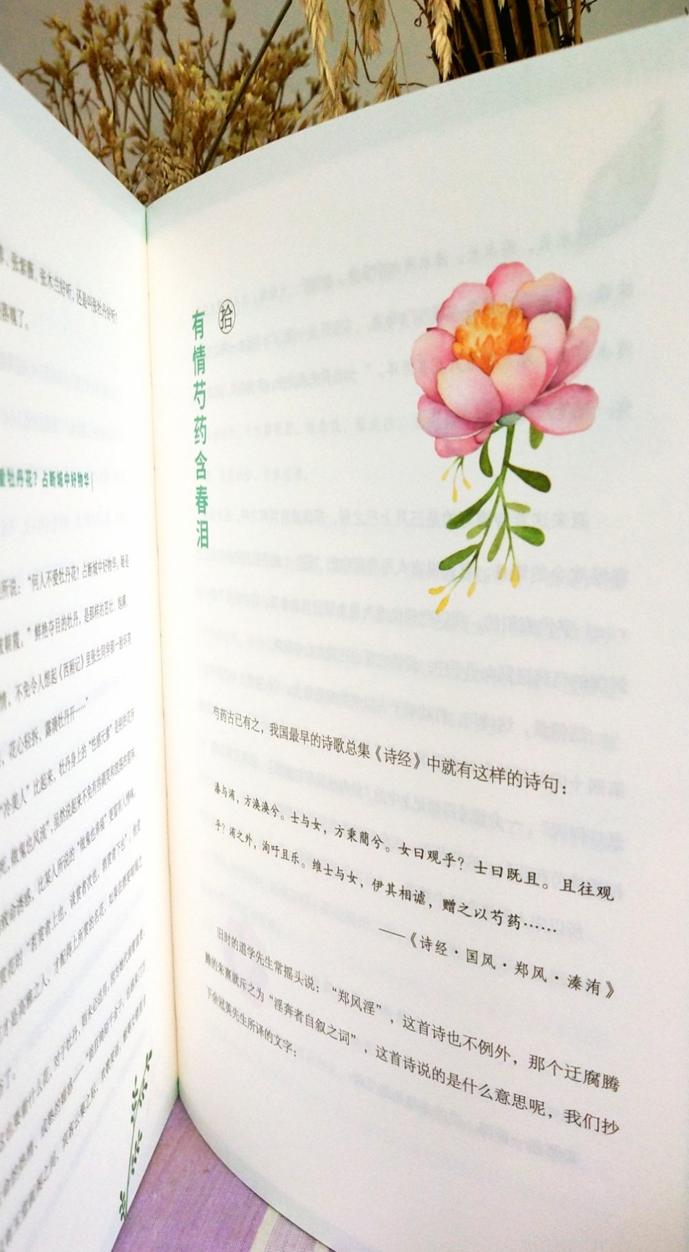 书里的花很美，淡淡的文艺感扑面而来。