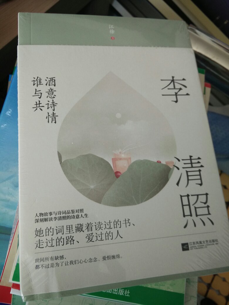 这是关于李清照的传记文学，好看。