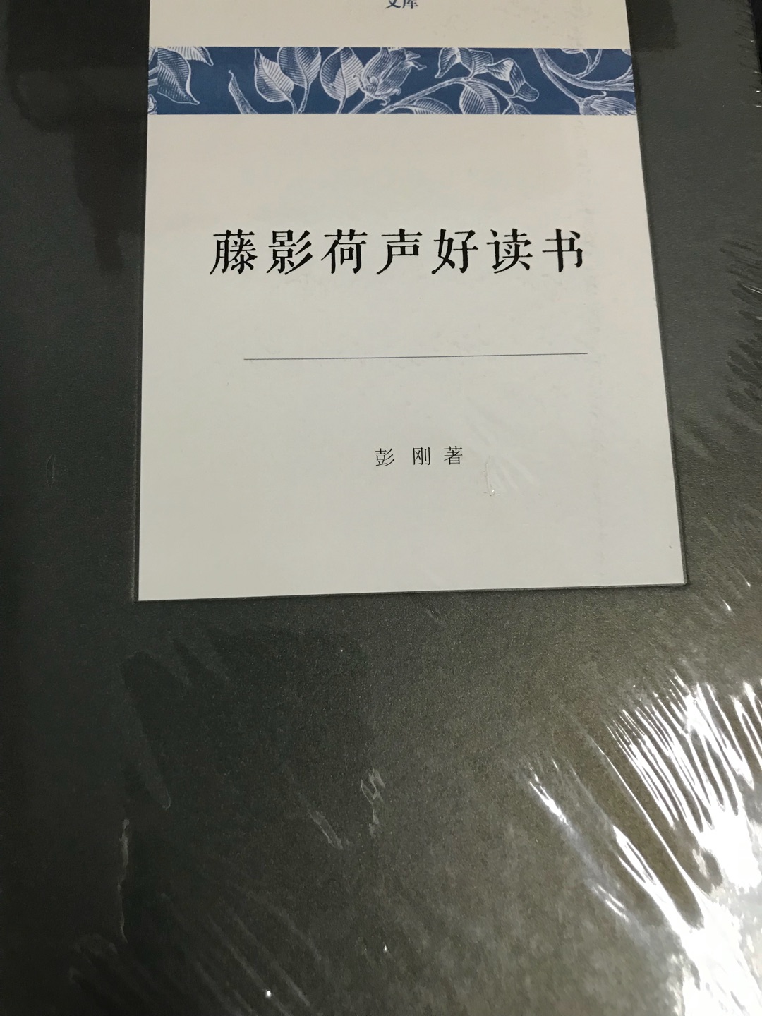 读过彭刚老师的译著和学术著作，头一次读偏散文的著作。