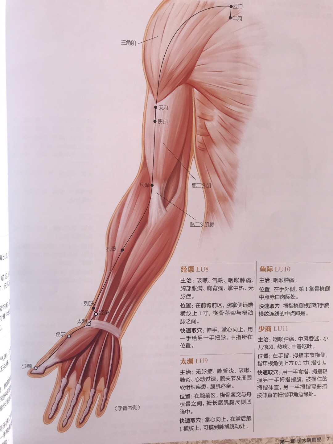 因为教学需要高清穴位图 所以拍了这款 很清晰 手感也很好