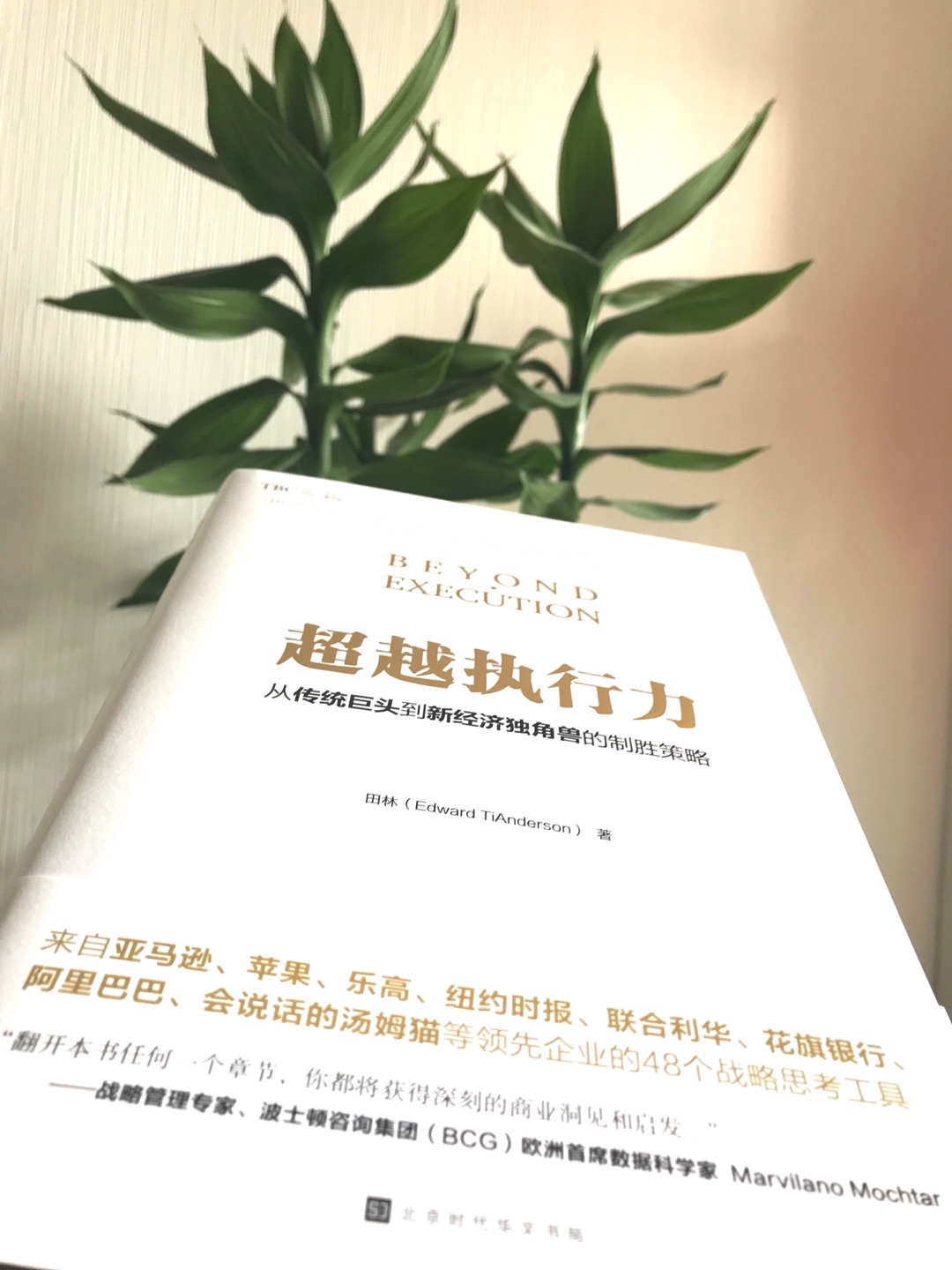 很有洞见的着眼点！很多人对“执行力”有执念，却不知如何提升决策效果。方向不对，只会消磨执行力。执行力的保证，依托于战略层面的合理布局。此书让人醍醐灌顶！另外，比起一般商业读物的范概念化，本身作者很实在，不玩弄概念，不炫耀模型，图文配合逻辑清晰。最后附的reference—这个小细节让我很感动啊！所有应用材料都详细列明。可见作者对于内容的严谨态度，以及对知识产权的尊重。靠谱的人才能做出靠谱的事！