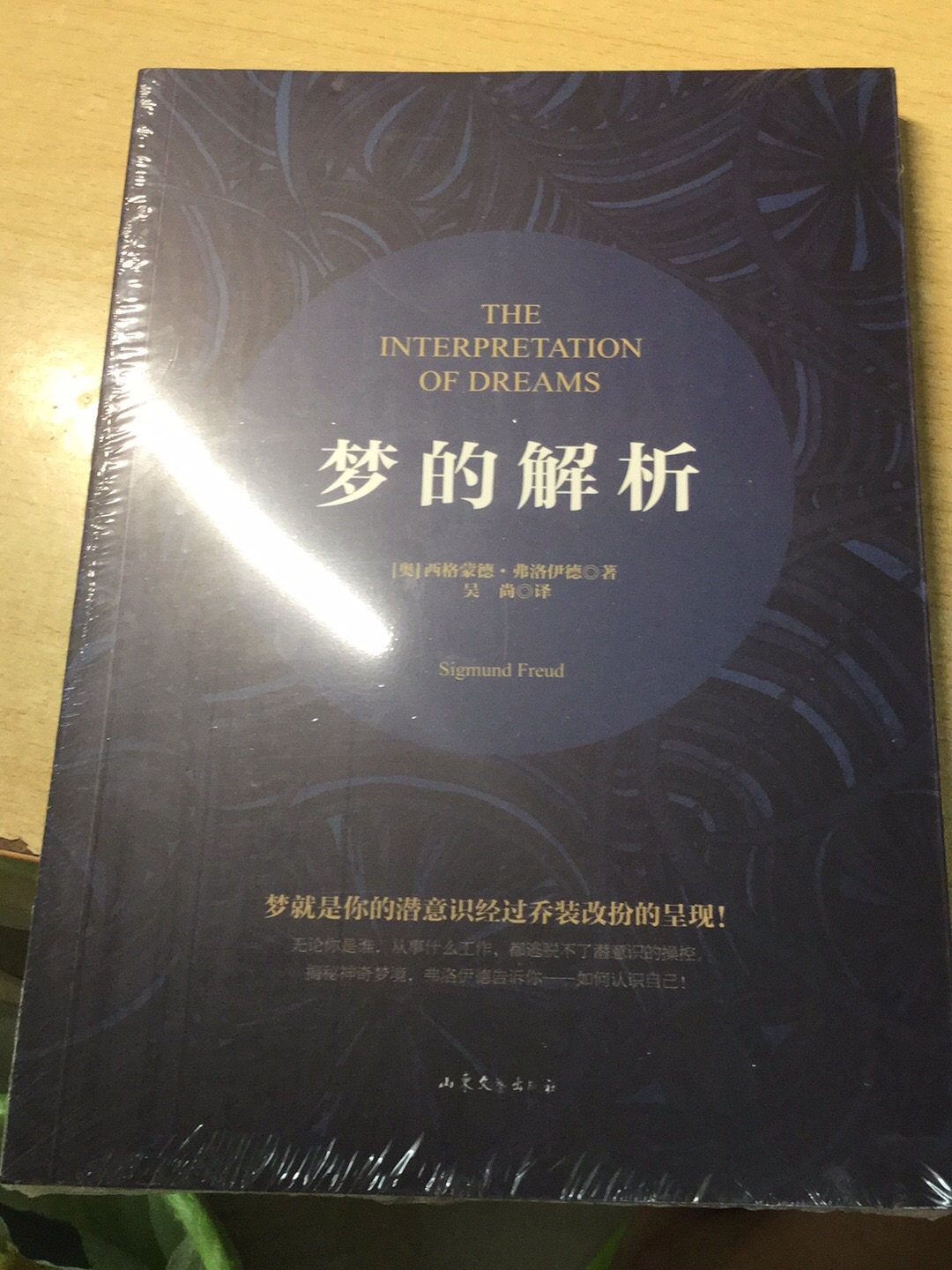 弗洛伊德这位伟大的思想家确实值得称赞 书中的内容对于我这种理科生来说有点儿晦涩