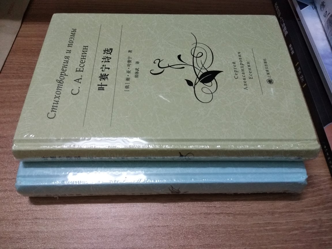 谢尔盖·亚历山德罗维奇·叶赛宁（Сергей Александрович Есенин,1895—1925），俄罗斯田园派诗人。生于梁赞省一个农民家庭，由富农外祖父养育。1912年毕业于师范学校，之后前往莫斯科，在印刷厂当一名校对员，同时参加苏里科夫文学音乐小组，兼修沙尼亚夫斯基平民大学课程。1914年发表抒情诗《白桦》，1915年结识勃洛克、高尔基和马雅可夫斯基等人，并出版第一部诗集《亡灵节》。1916年春入伍，退伍后与赖伊赫结婚。1925年12月28日拂晓在列宁格勒的一家旅馆投缳自尽。