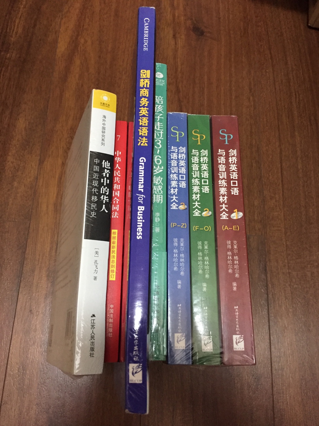 以大历史、大叙事的手笔，将中国移民走向世界的五百年历史，融会贯通于同期世界格局发展变化的大框架中，读来令人领悟深远。更重要的是，孔教授在展示全球华人移民五百年历史精彩画卷的基础上，有力论证了其重要观点：海外华人历史是中国历史的题中应有之意，是研究中国历史不可或缺的组成部分。由是，海外华人研究被提升到新的境界。