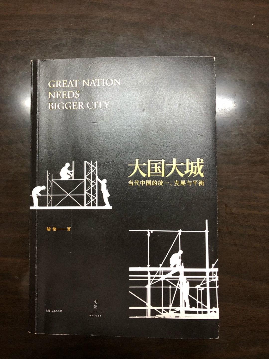 这本书是中国目前比较少见的关于城市化发展的论述专著，坚持发展以大城市为中心，体现规模经济与人口集聚效用，体现了经济发展规律，顺应市场潮流，很难得的一本说真话坚持自己观点的书。