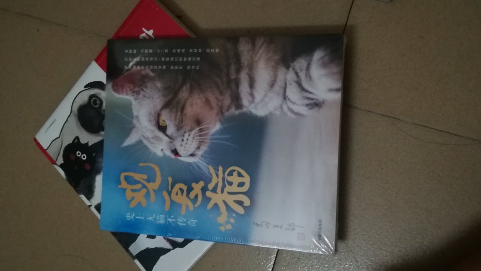 40多块就买了一本猫咪花名册