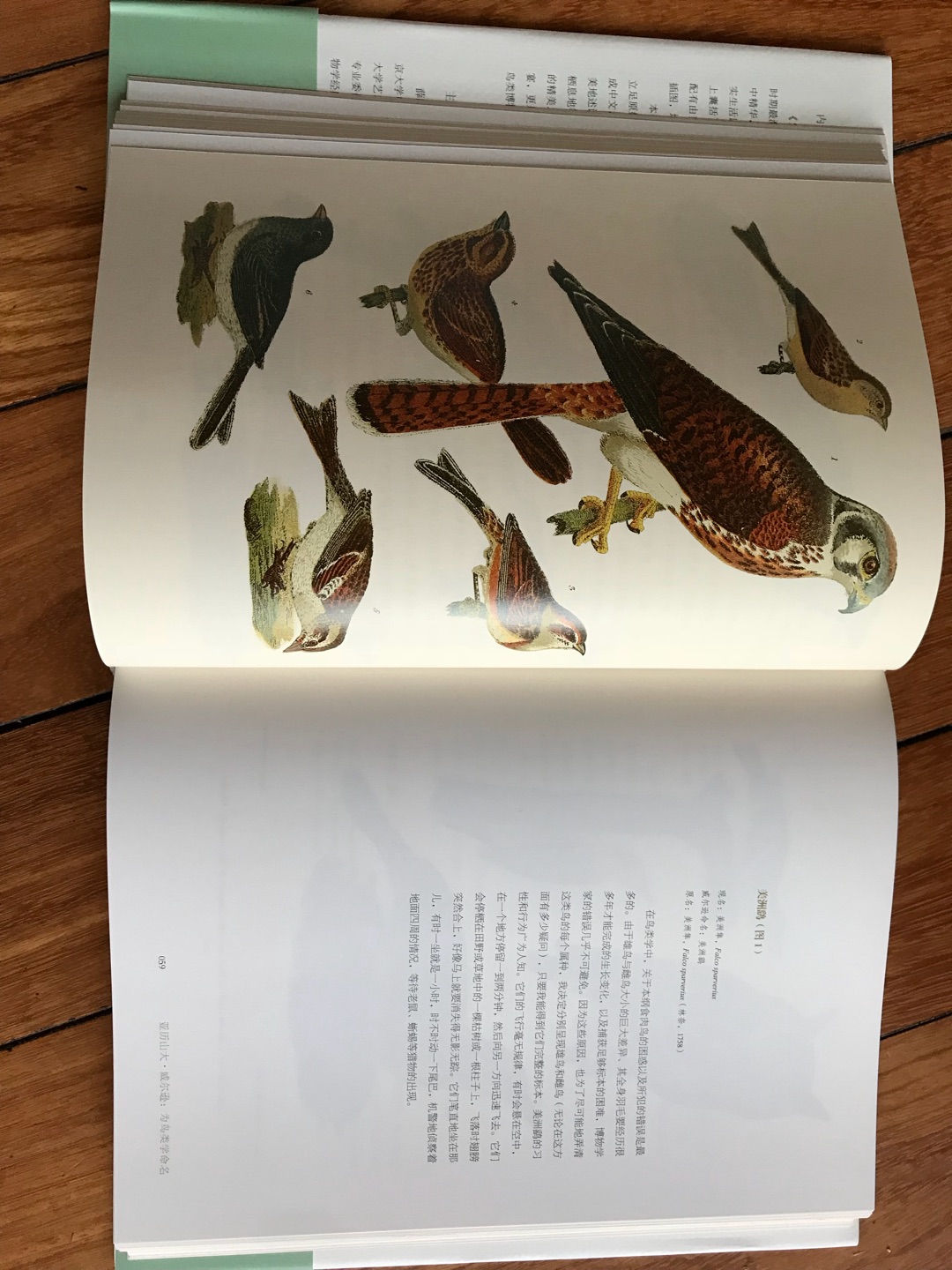 自从孩子喜欢上观鸟后，对鸟类的知识没有任何抵抗力，买来后，迫不及待地翻看。书的质量非常好，图片精美。