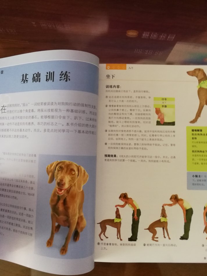 很好的一本训练狗狗的书，彩色图文并茂容易看懂和掌握要领，还有提示和问题解答，太棒了！