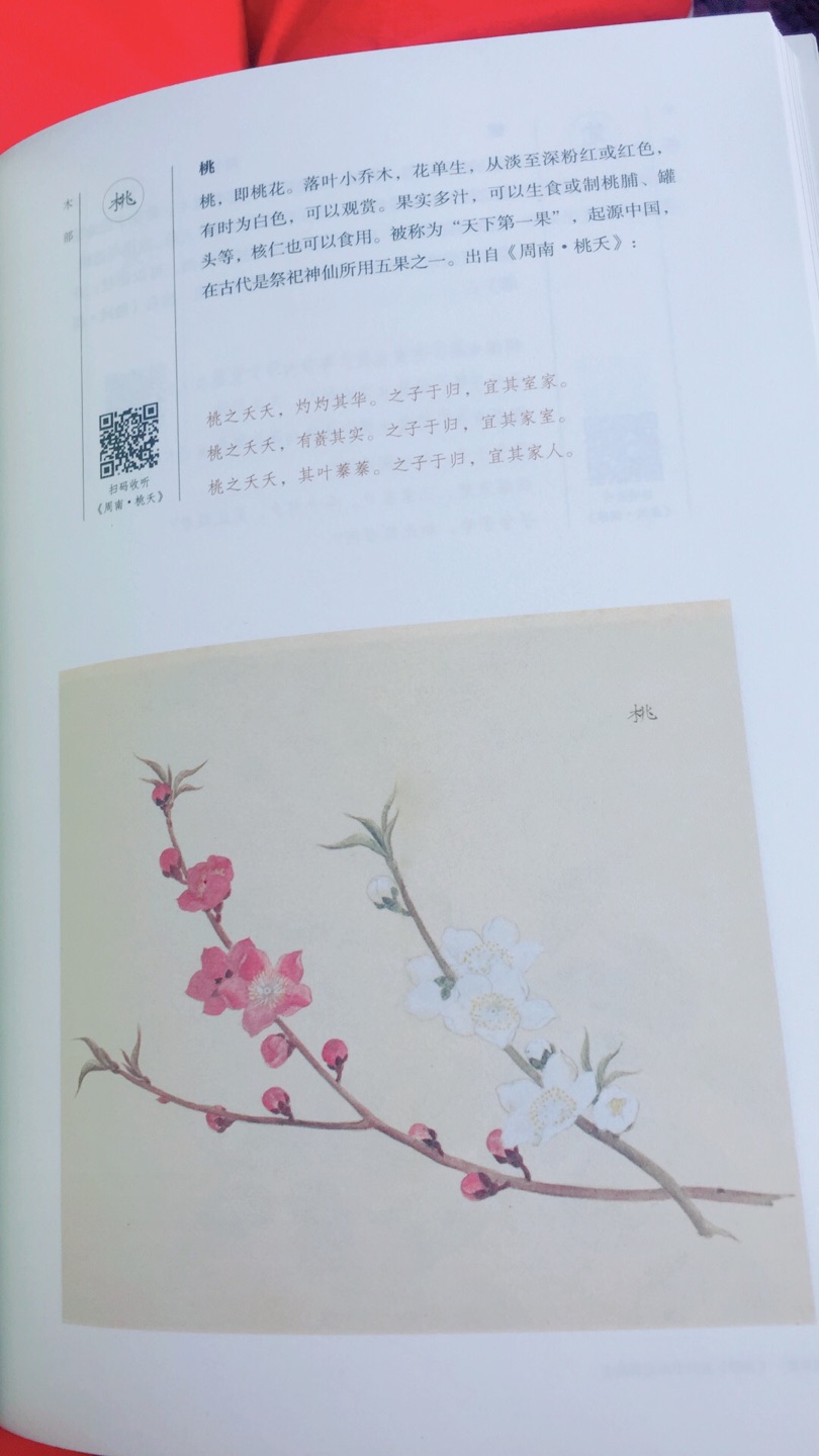 很满意，物流非常快，纸质手感也很棒，插画也美，还可以扫码电子阅读