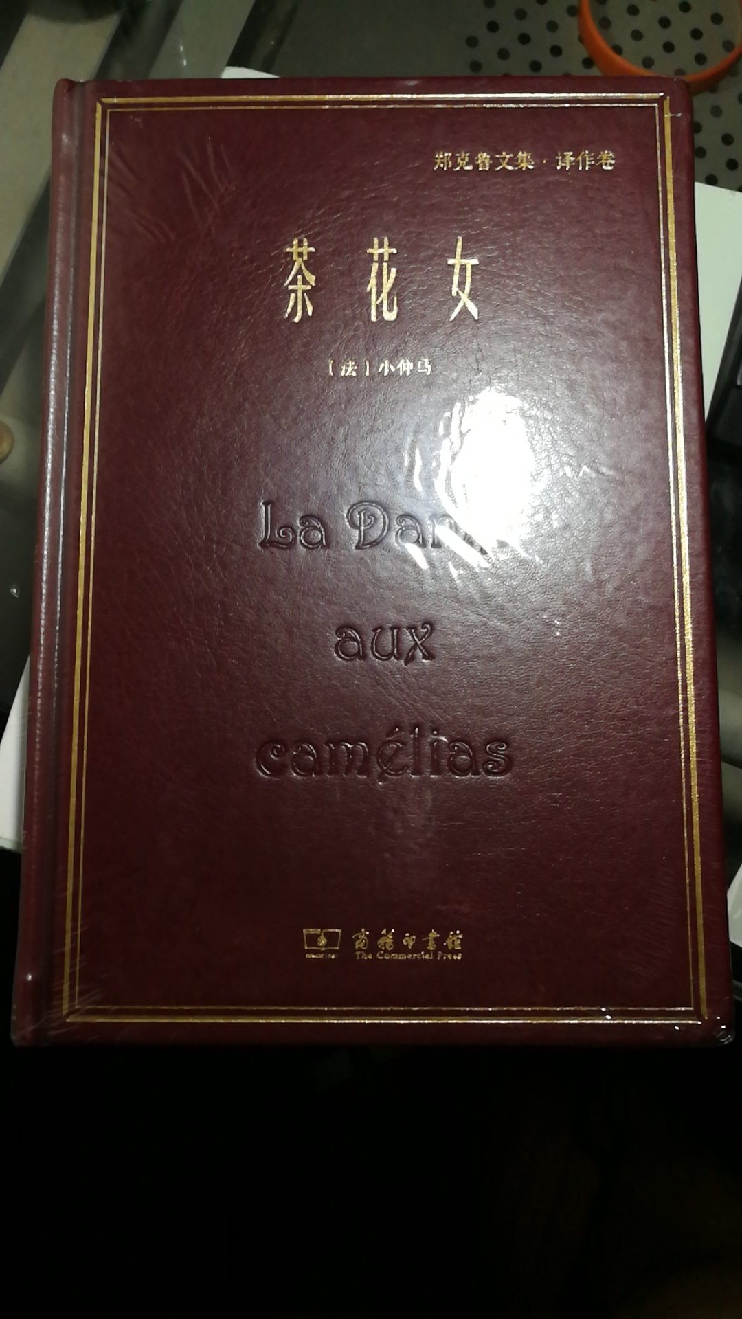 商务印书馆的书，郑克鲁文集。到手质量还不错。就是不知道皮面能保存多久。