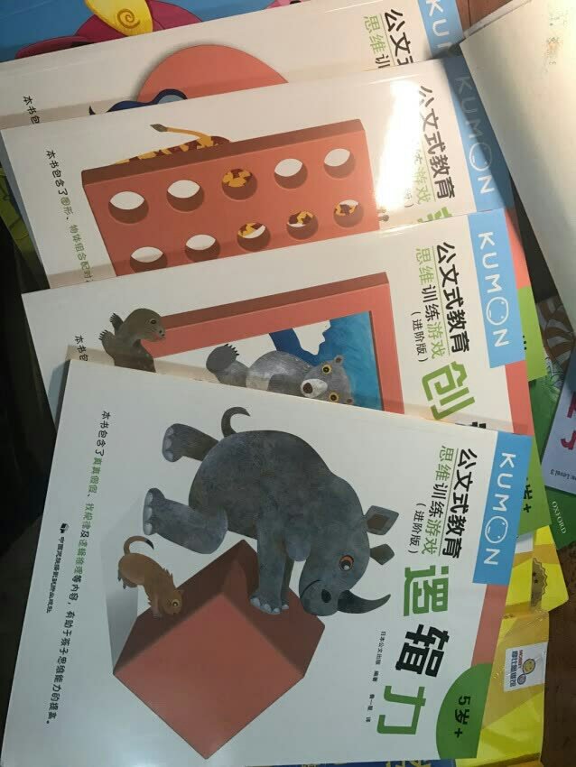 公文式系列的书，自己一直再给孩子买，喜欢这套，特别锻炼逻辑思维能力。