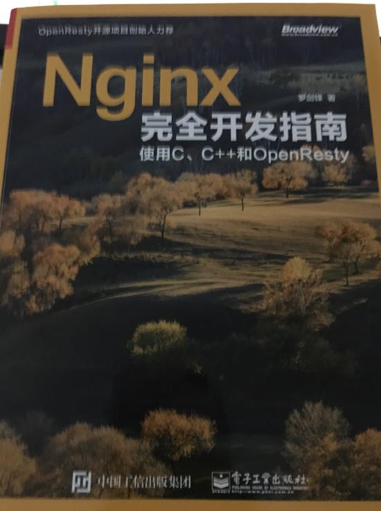 nginx开发的一本好书 扩展指南