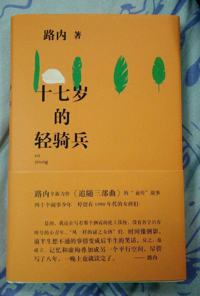 跟追随三部曲一脉相承的故事，讲述了化工技校这些年轻人的恣意成长。可能是因为篇幅限制，少了路内长篇里那种哀而不愁的感觉，有时候读到快要轻叹之时，故事就戛然而止了。路内长我差不多一个时代，但看他的故事，就像我曾经经历过的时候。后来我才明白过来，其实八九十年代的差距并不算大，反而是2000年以后，整个社会天翻地覆，差距由此显现出来。所以，他笔下那些故事悲伤的内核究竟在于人还是时代呢？