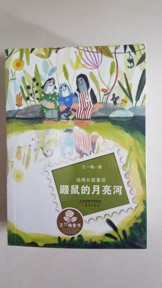 王一梅的书，之前孩子看的是短篇童话，这次买了长篇小说，希望孩子会喜欢，虽然外包装有破损，但是不影响阅读。