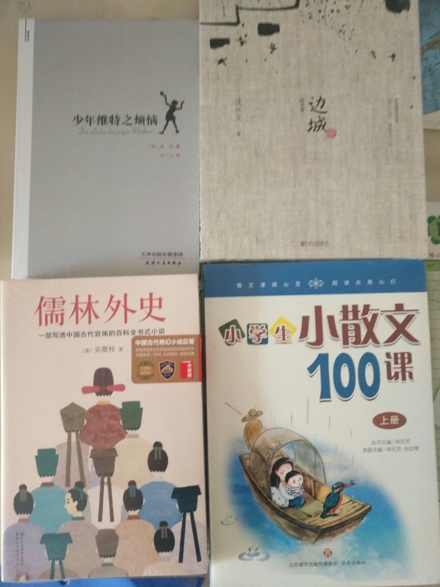 趁着年中大促给孩子囤了一些书，打算暑假读起来，这套书孩子非常喜欢，快递送来就迫不及待的拆开看起来。还亲自做了实验。