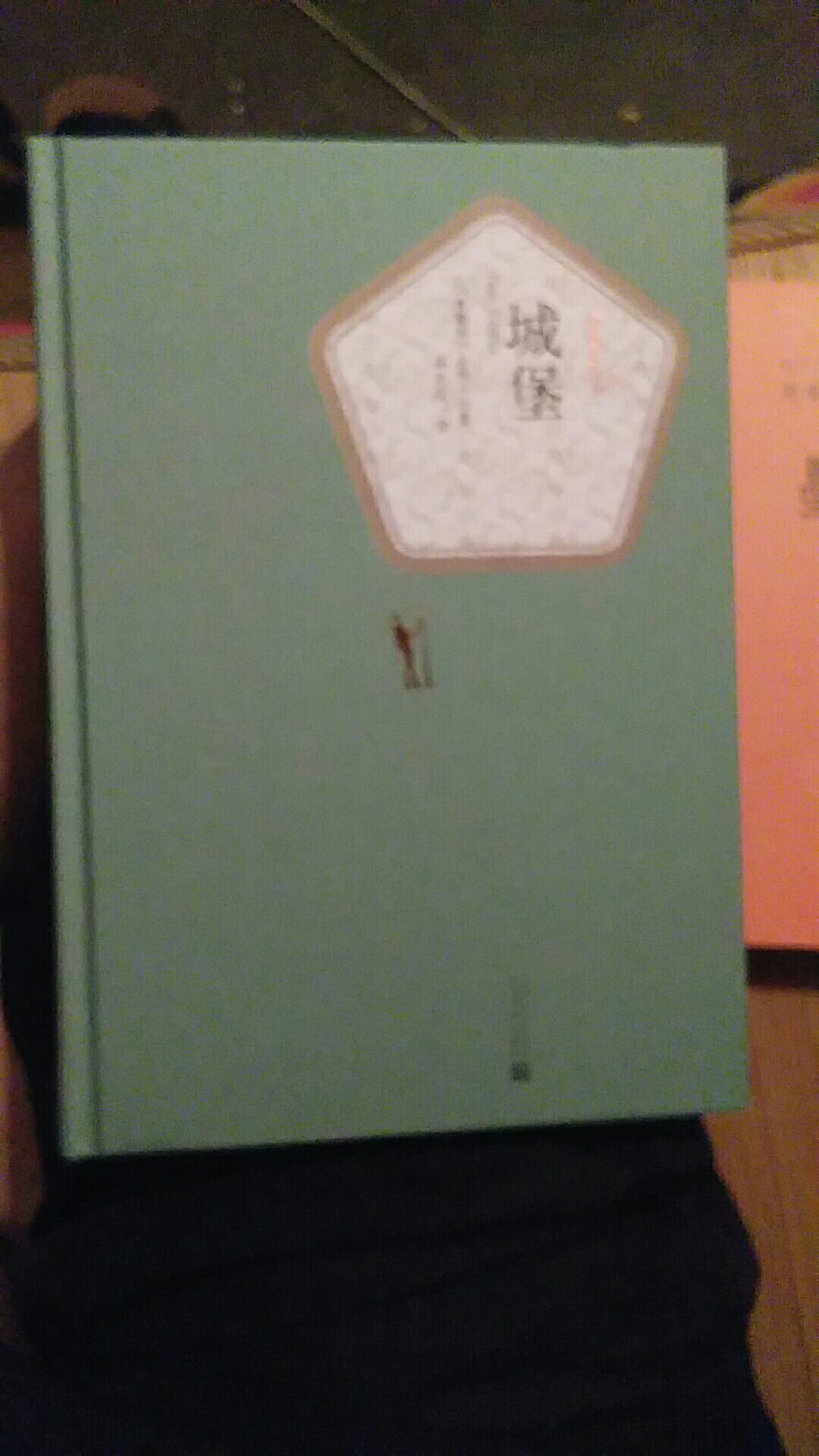 作品讲述主人公K应聘来城堡当土地测量员，他经过长途跋涉，穿过许多雪路后，终于在半夜抵达城堡管辖下的一个穷村落。在村落的招待所，筋疲力尽的K遇到了形形#的人，它们都是挣扎在社会底层的平民。其中有招待所的老板、老板娘、女招待，还有一些闲杂人员。城堡虽近在咫尺，但他费尽周折，为此不惜勾引城堡官员克拉姆的情妇，却怎么也进不去。K奔波得筋疲力竭，至死也未能进入城堡。