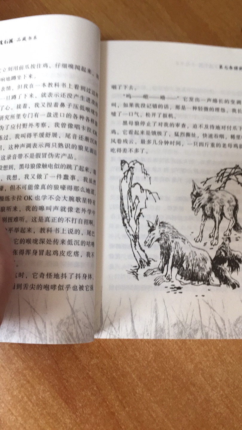 暑假必读书目之一，沈石溪的动物系列小说真不错，小孩都喜欢。