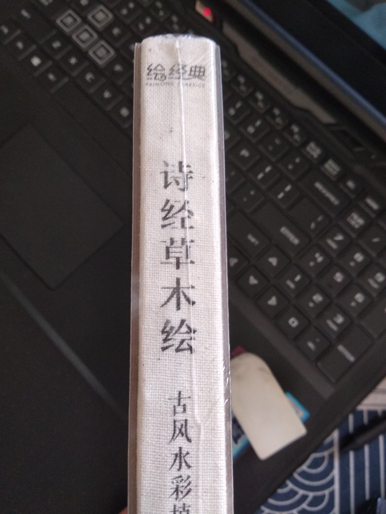 不是自己一贯喜欢的风格，不过也是另一种美吧。书籍封面用的硬纸板，书腰设计的很特别，总体就有一种复古的感觉。表白线装。