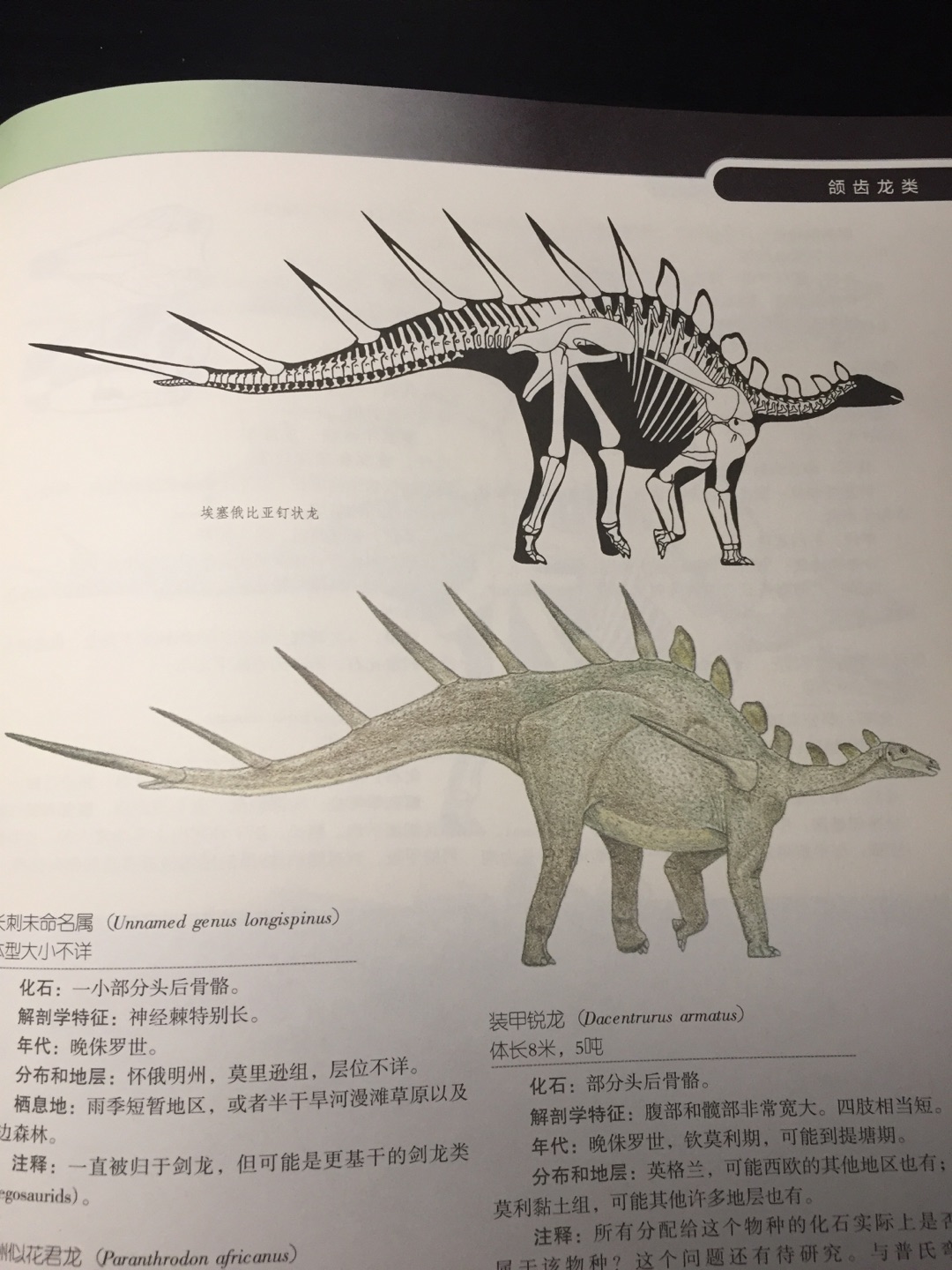 很好看的书 我的第一本关于恐龙的书 对于喜欢百科全书类的读者是好书 就是在分类上完全没写为什么是这一类 类型的名字多有重复 完全不明白…