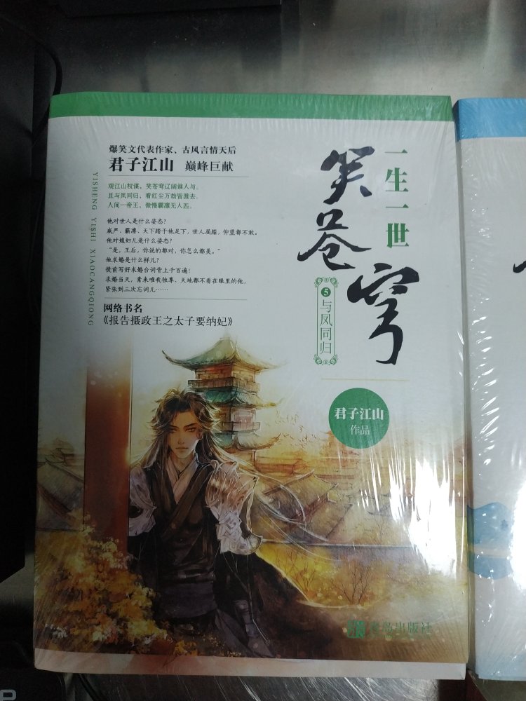 这一次买的全是君子江山的书，一生一世系列的。