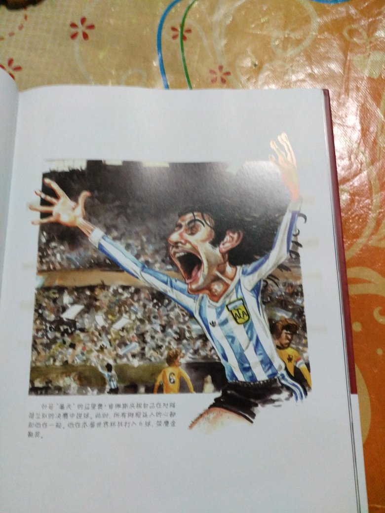 非常精美的一款世界杯图书内容详实绘图栩栩如生极具收藏价值。