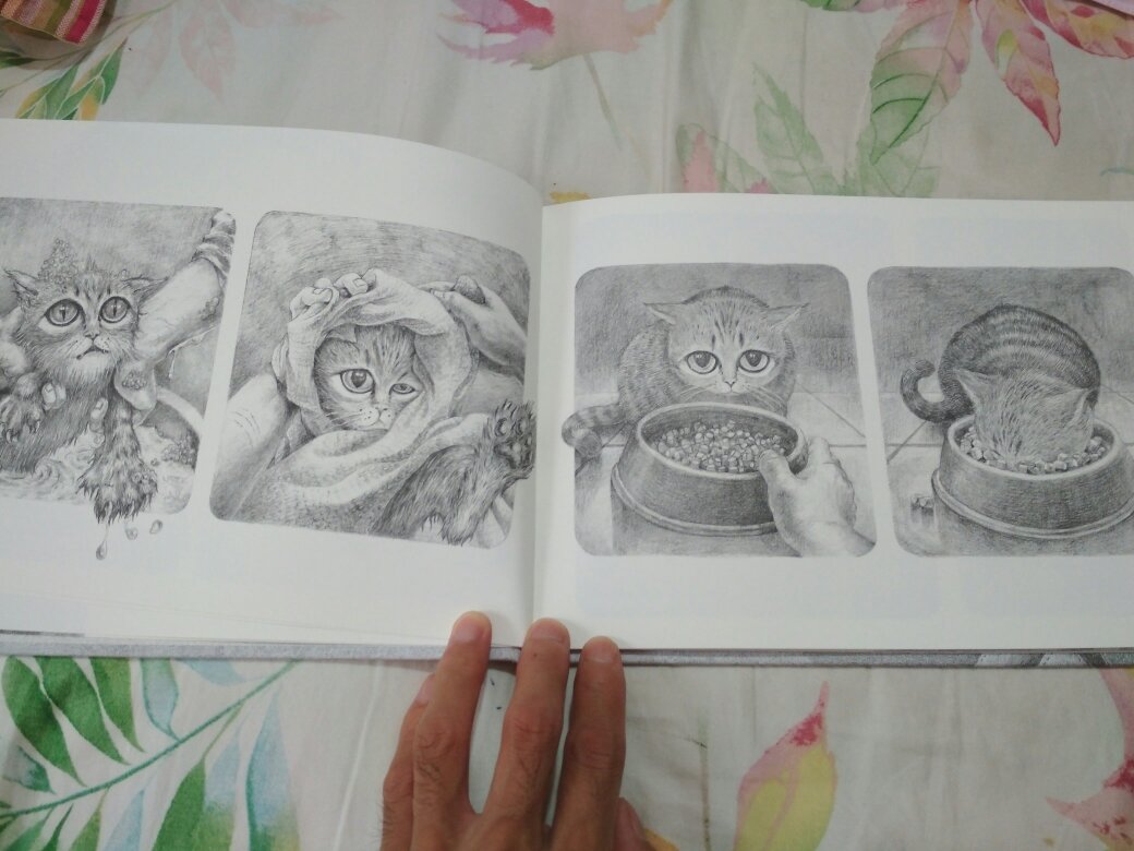无字书！信谊图画书奖得奖作品！中国原创图画书中的优秀作品！本书适合4岁以上的孩子！