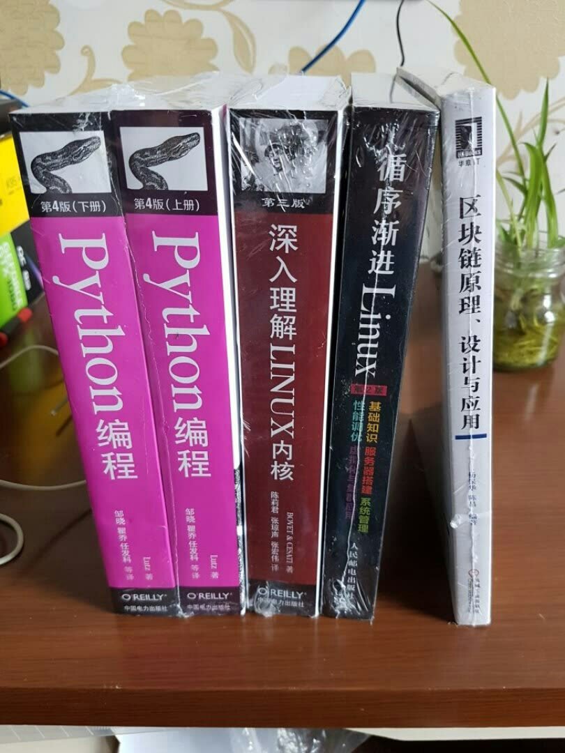 这次买的书都很好的，不错哦，很超值，蹦蹦跶（：