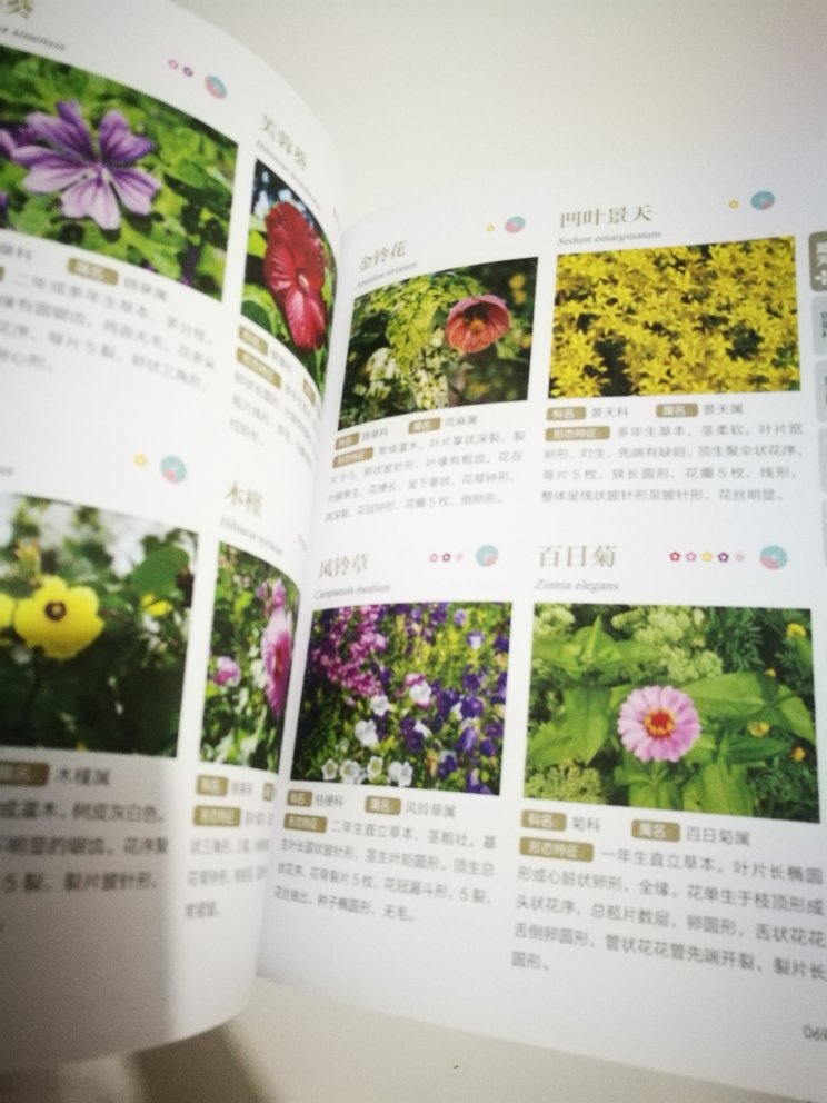 很喜欢这本书啊，四季花卉的，每个花都有图文介绍，打算照着花样做热缩花花的手作~