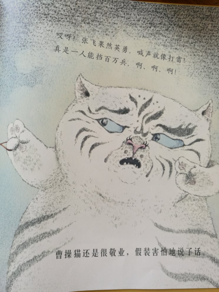 熊亮的绘本总是透着一股灵动，这本也一样。京剧猫们表演得惟妙惟肖，熊亮的刻画也惟妙惟肖。在他笔下，国粹艺术的魅力一览无余。