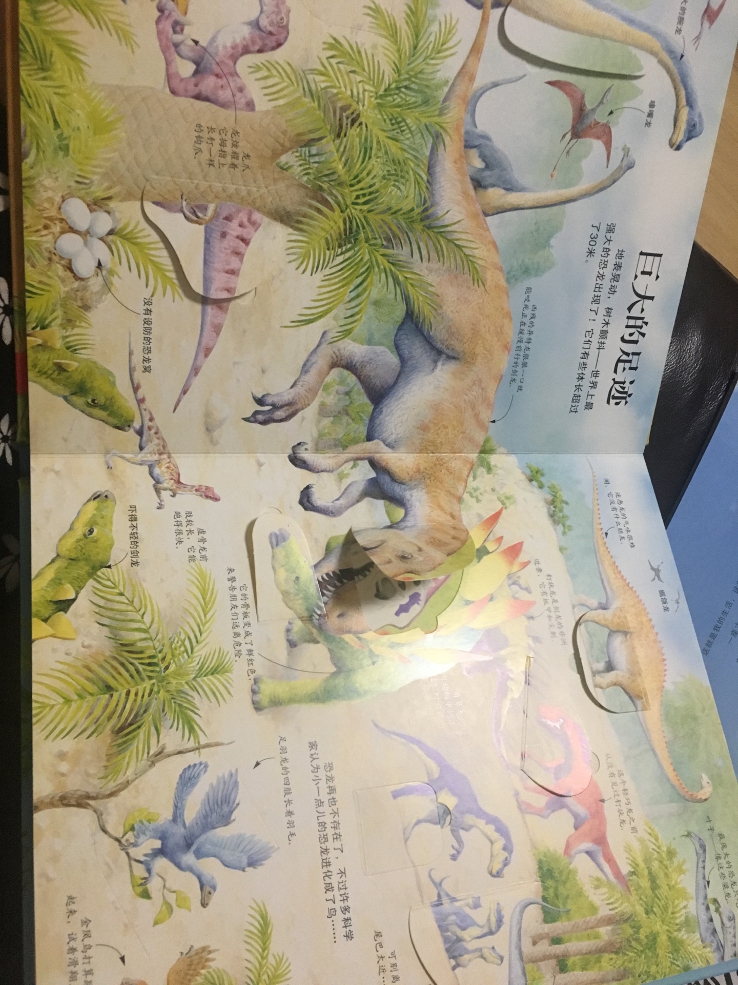 孩子自己选的书，非常喜欢恐龙，立体的书挺好的，色彩丰富，质量很好。