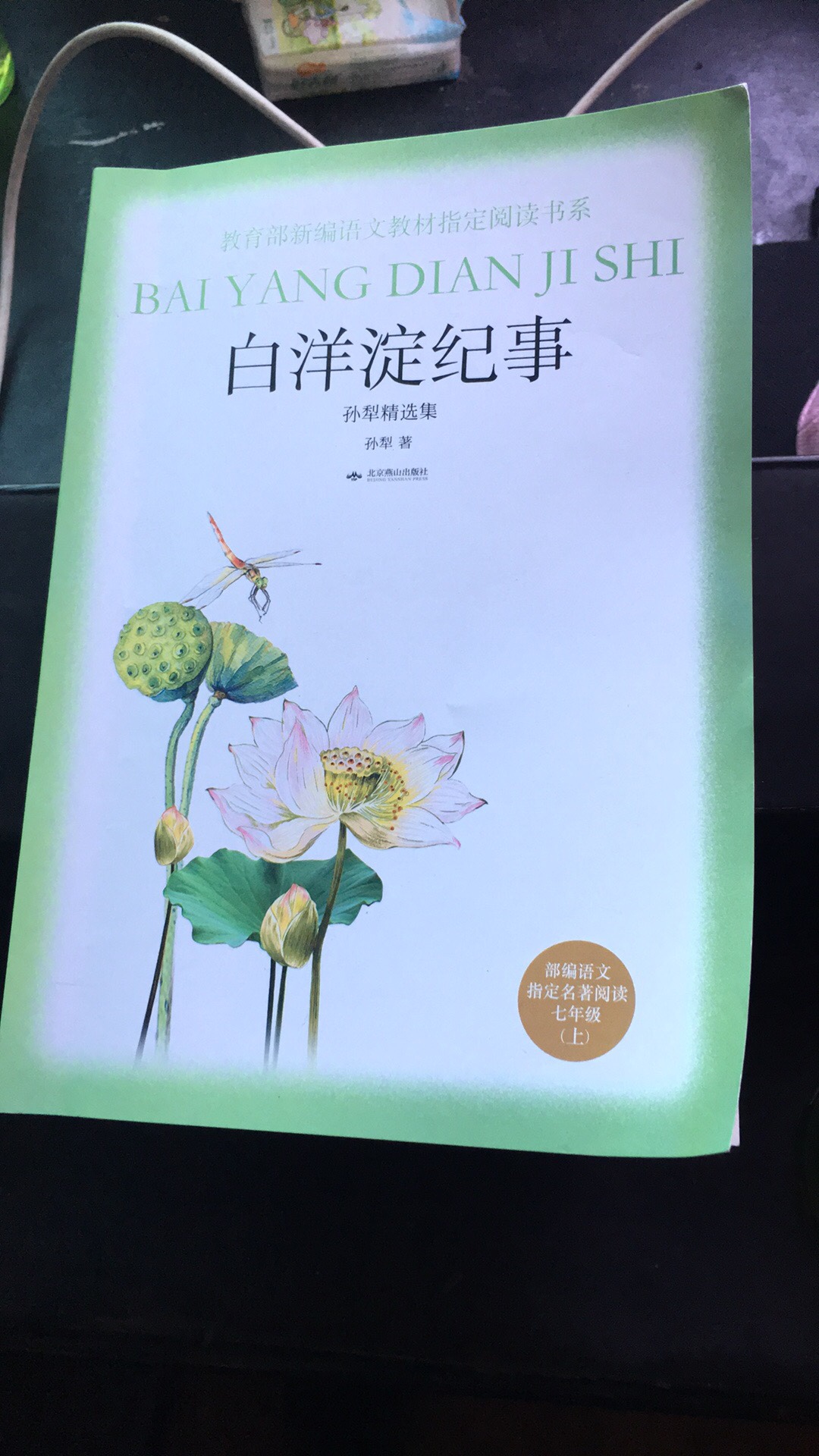 小升初必看几本书，还可以吧，字狠清晰