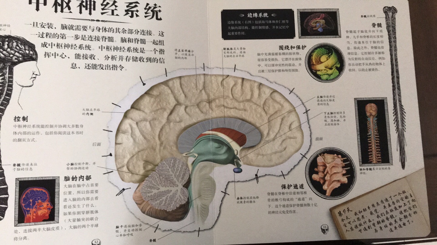 书的质量很好，设计的风格很独特哦