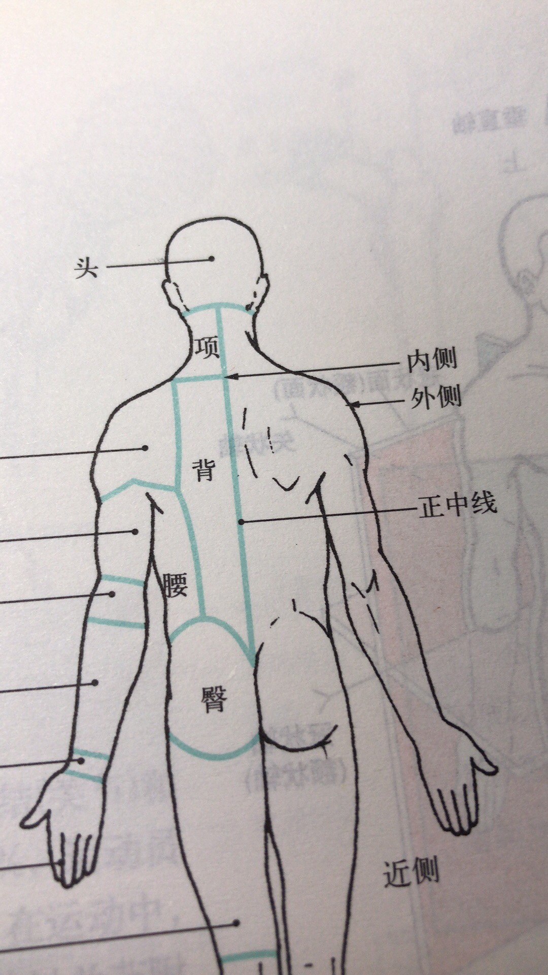 哈哈哈哈 终于明白望其项背中项的意思啦